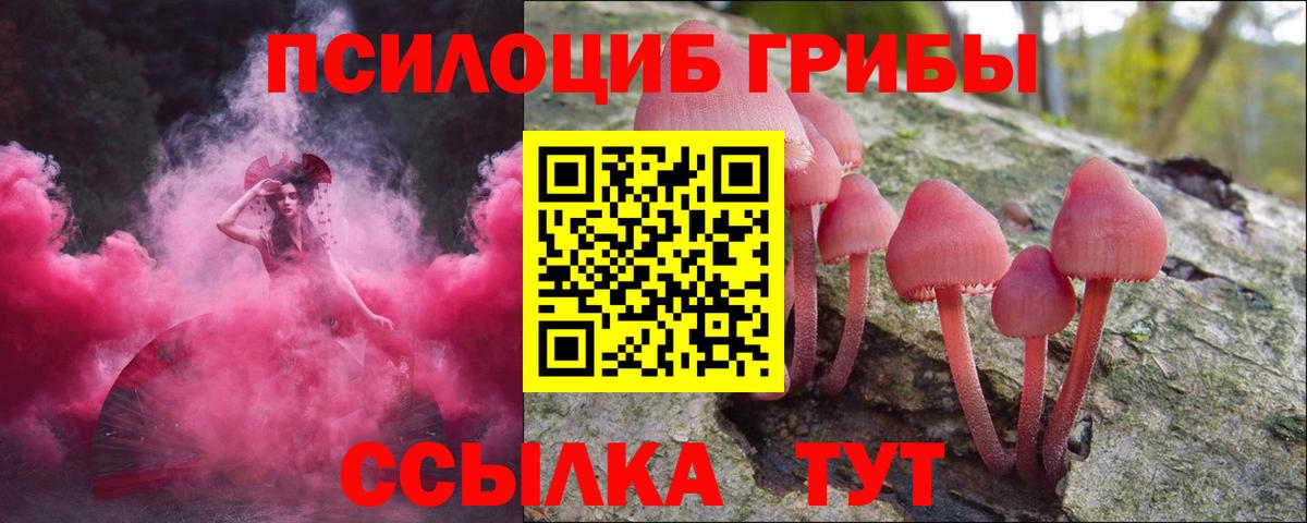где продают наркотики  Псилоцибиновые грибы ЛСД  Вход с VPN  Южно-Сахалинск 